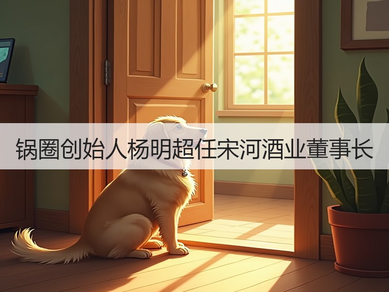 锅圈创始人杨明超任宋河酒业董事长