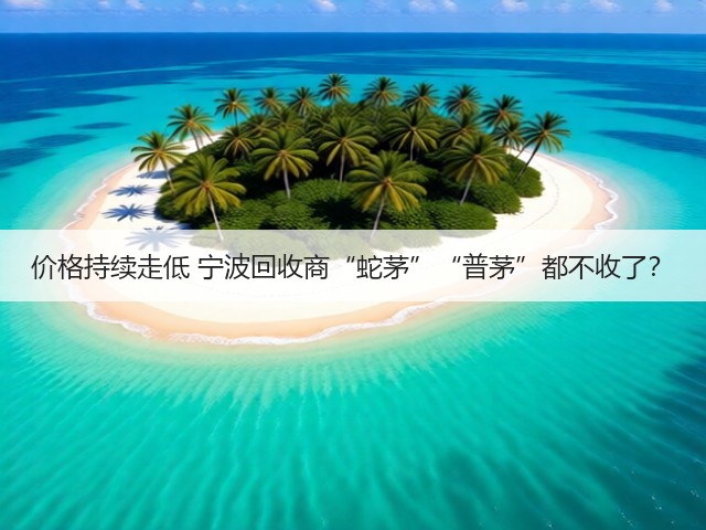 价格持续走低 宁波回收商“蛇茅”“普茅”都不收了？(图3)