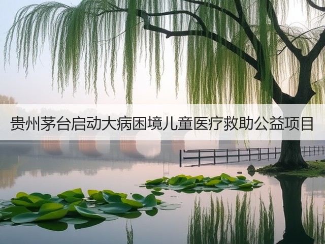 贵州茅台启动大病困境儿童医疗救助公益项目(图2)