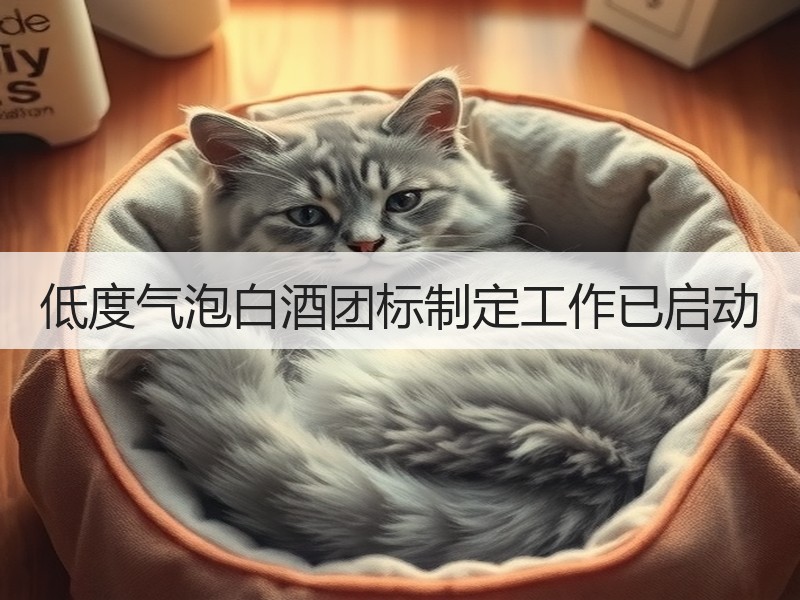 低度气泡白酒团标制定工作已启动