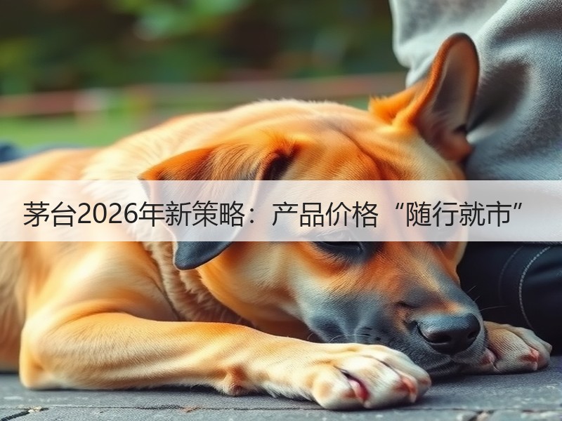 茅台2026年新策略：产品价格“随行就市