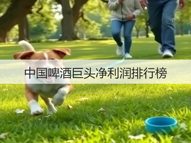 中国啤酒巨头净利润排行榜(图4)