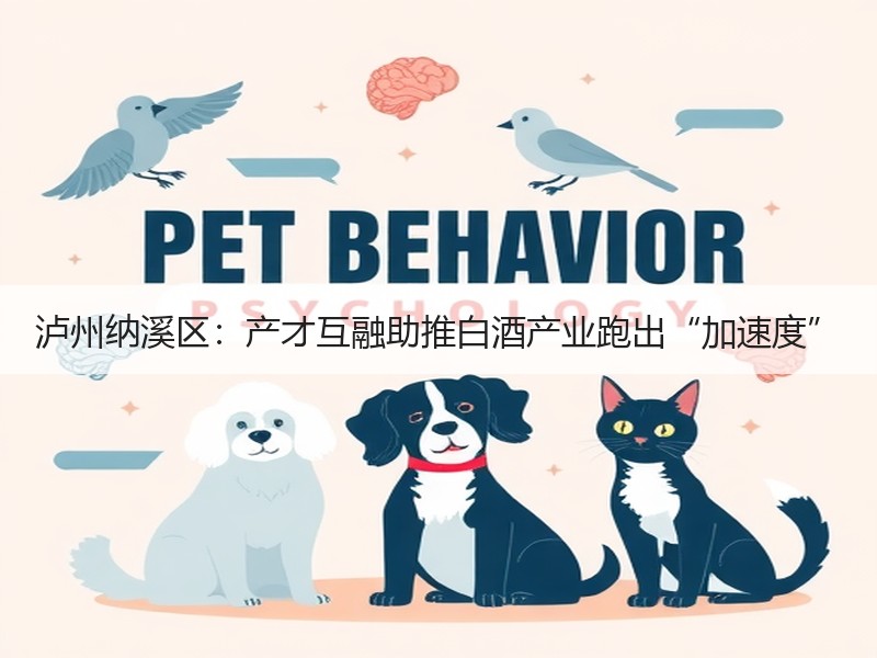 泸州纳溪区：产才互融助推白酒产业跑出“加