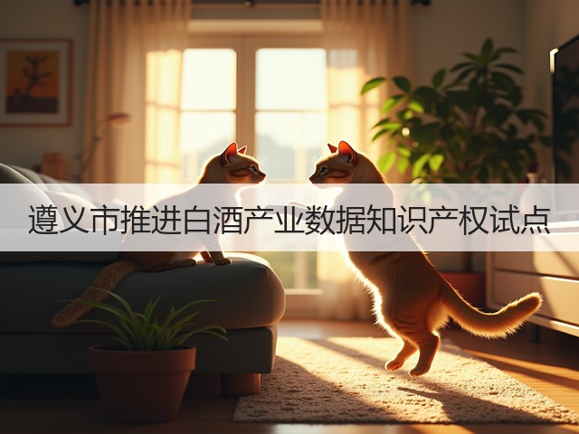 遵义市推进白酒产业数据知识产权试点(图5)