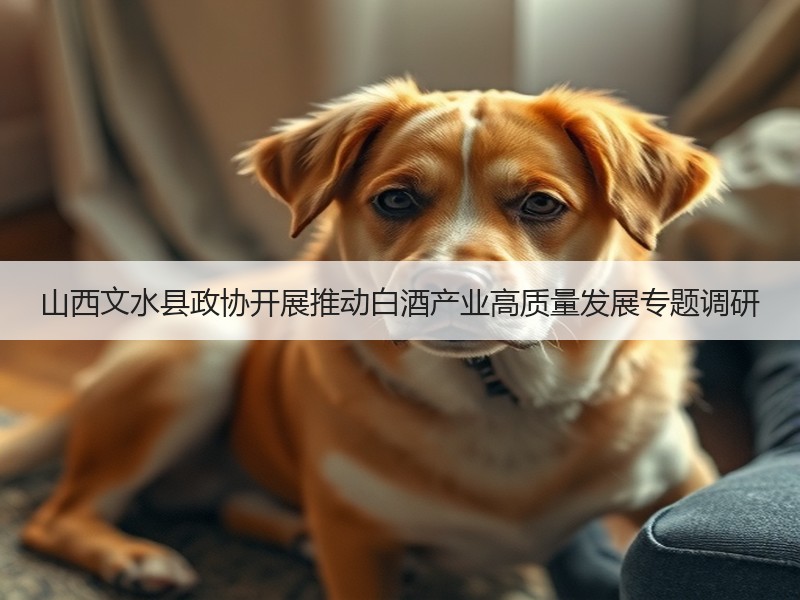 山西文水县政协开展推动白酒产业高质量发展