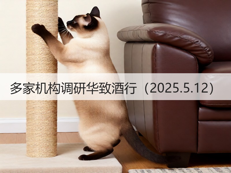 多家机构调研华致酒行（2025.5.12