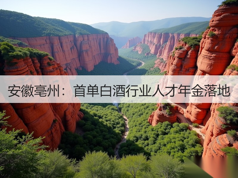 安徽亳州：首单白酒行业人才年金落地