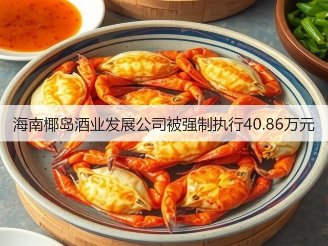 海南椰岛酒业发展公司被强制执行40.86万元(图2)