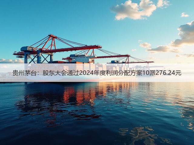 贵州茅台：股东大会通过2024年度利润分配方案10派276.24元(图2)
