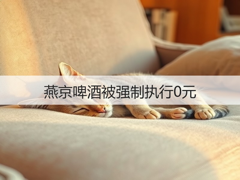 燕京啤酒被强制执行0元