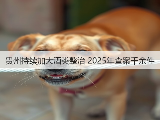贵州持续加大酒类整治 2025年查案千余件(图2)