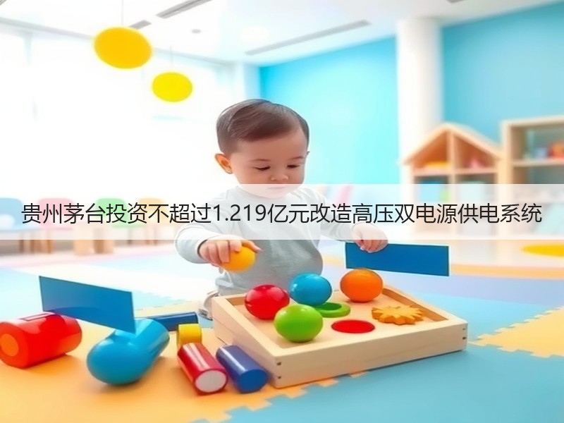 贵州茅台投资不超过1.219亿元改造高压