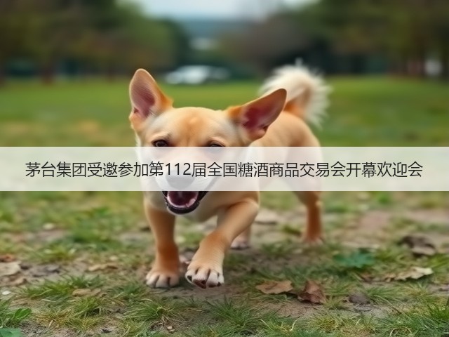 茅台集团受邀参加第112届全国糖酒商品交易会开幕欢迎会(图1) 茅台集团受邀参加第112届全国糖酒商品交易会开幕欢迎会(图1)