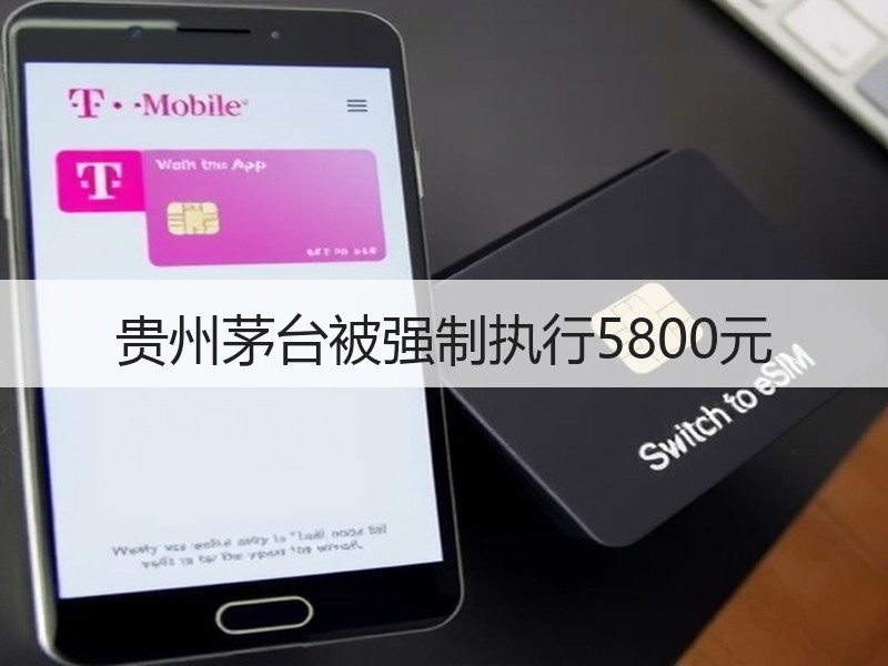 贵州茅台被强制执行5800元