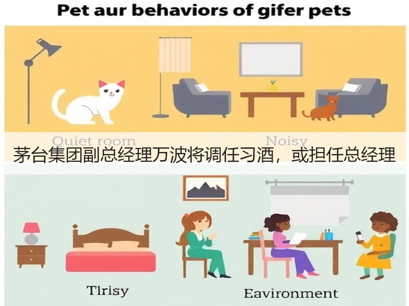 茅台集团副总经理万波将调任习酒，或担任总