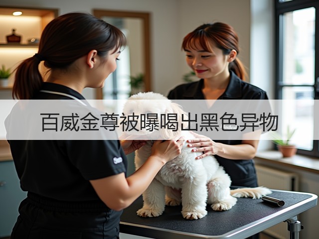 百威金尊被曝喝出黑色异物(图2)