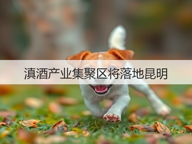 滇酒产业集聚区将落地昆明(图2)
