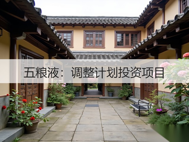 五粮液：调整计划投资项目(图4)