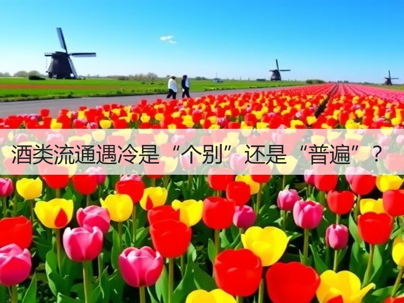 酒类流通遇冷是“个别”还是“普遍”？