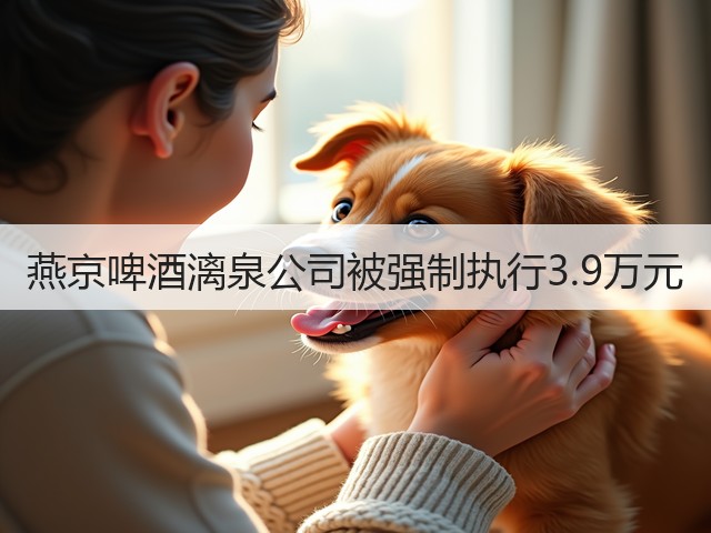 燕京啤酒漓泉公司被强制执行3.9万元(图5)