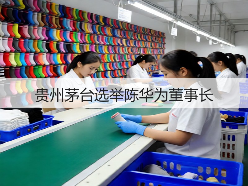 贵州茅台选举陈华为董事长