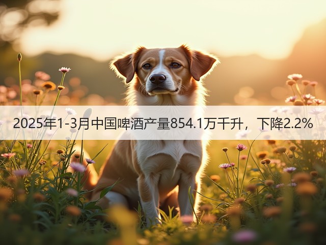2025年1-3月中国啤酒产量854.1万千升，下降2.2%(图1)