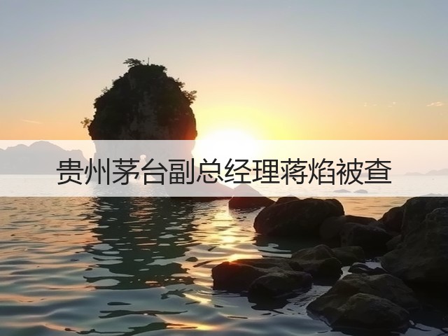 贵州茅台副总经理蒋焰被查(图4)