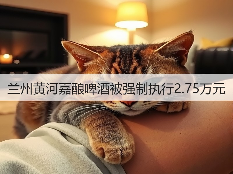 兰州黄河嘉酿啤酒被强制执行2.75万元