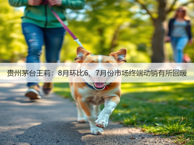贵州茅台王莉：8月环比6、7月份市场终端动销有所回暖(图5)