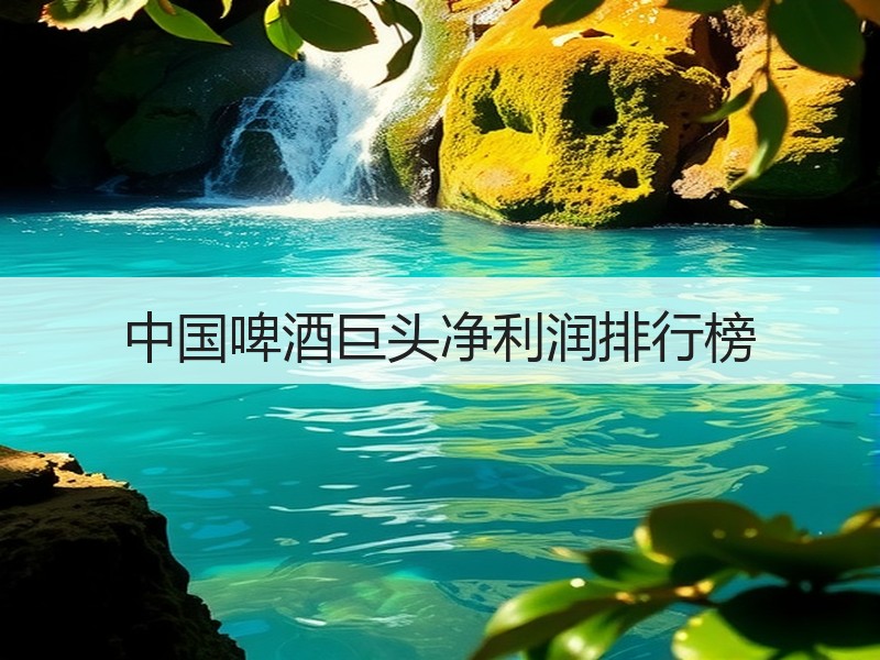 中国啤酒巨头净利润排行榜