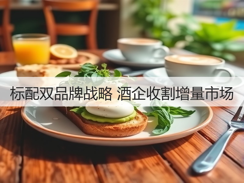标配双品牌战略 酒企收割增量市场