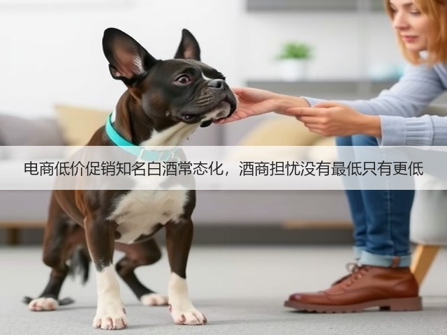 电商低价促销知名白酒常态化，酒商担忧没有最低只有更低(图3)