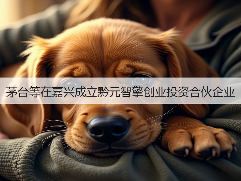 茅台等在嘉兴成立黔元智擎创业投资合伙企业