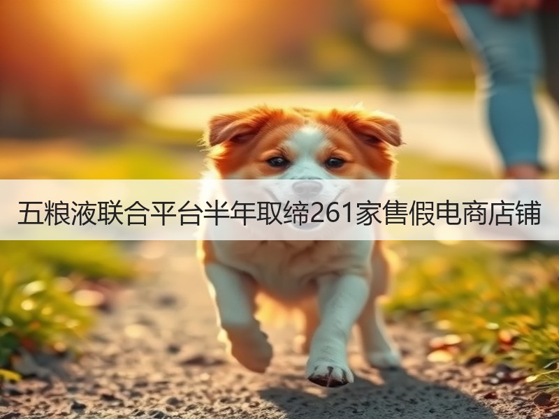 五粮液联合平台半年取缔261家售假电商店