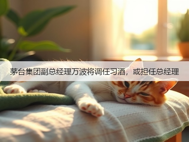 茅台集团副总经理万波将调任习酒，或担任总经理(图5)