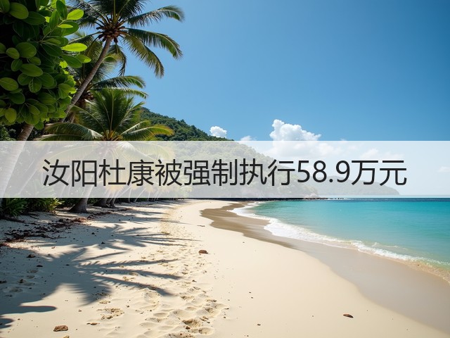 汝阳杜康被强制执行58.9万元(图5)