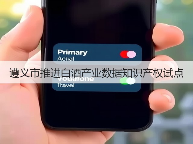 遵义市推进白酒产业数据知识产权试点(图4)