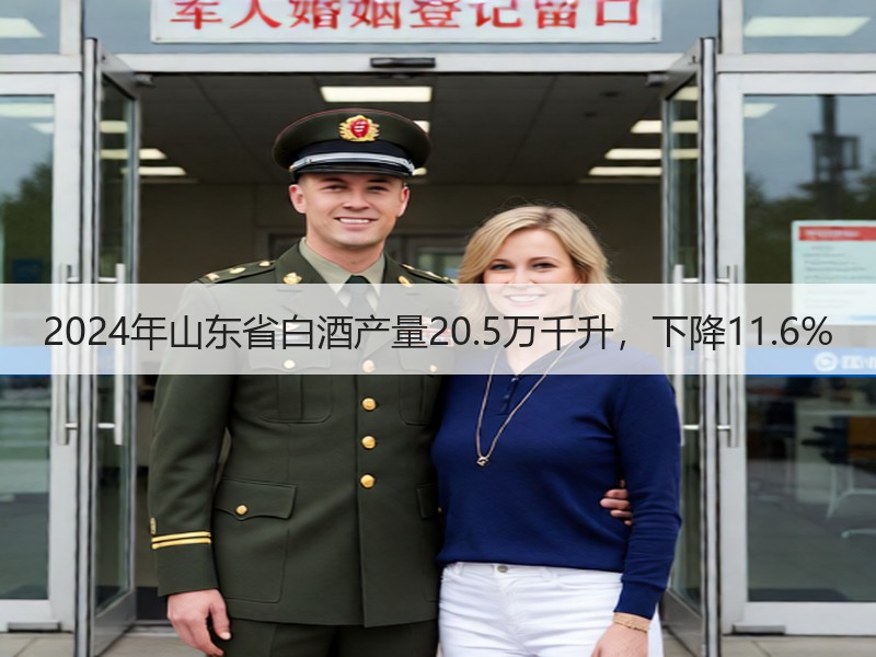 2024年山东省白酒产量20.5万千升，