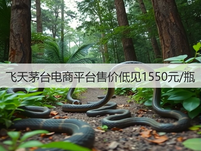 飞天茅台电商平台售价低见1550元/瓶(图2) 飞天茅台电商平台售价低见1550元/瓶(图2)