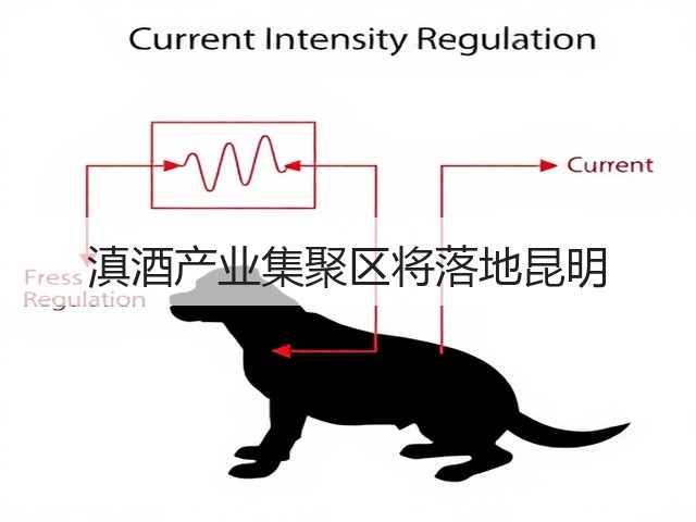 滇酒产业集聚区将落地昆明(图5)