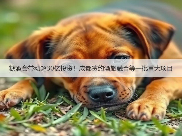 糖酒会带动超30亿投资！成都签约酒旅融合等一批重大项目(图3)