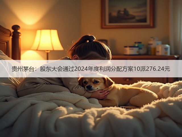 贵州茅台：股东大会通过2024年度利润分配方案10派276.24元(图1)