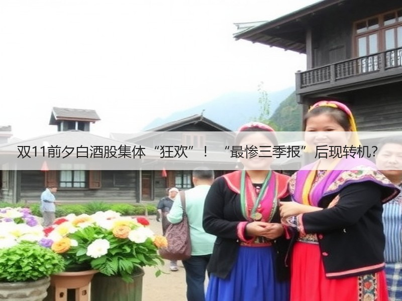双11前夕白酒股集体“狂欢”！“最惨三季