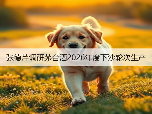 张德芹调研茅台酒2026年度下沙轮次生产(图5)