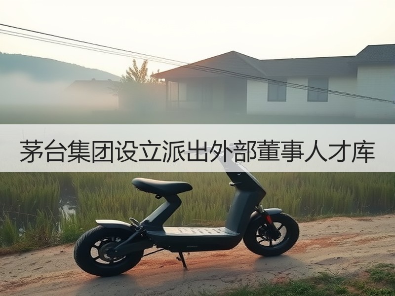 茅台集团设立派出外部董事人才库