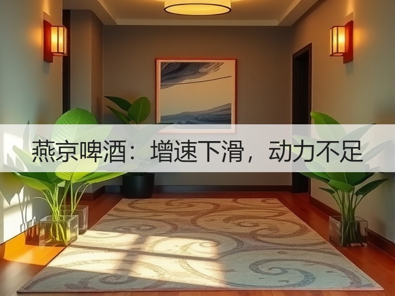 燕京啤酒：增速下滑，动力不足