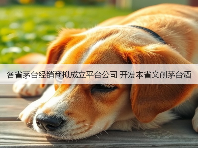 各省茅台经销商拟成立平台公司 开发本省文