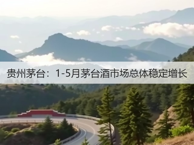 贵州茅台：1-5月茅台酒市场总体稳定增长(图4)