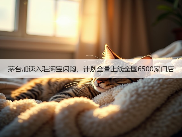 茅台加速入驻淘宝闪购，计划全量上线全国6500家门店(图2)