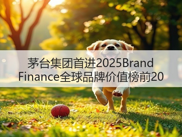 茅台集团首进2025Brand Finance全球品牌价值榜前20(图4)